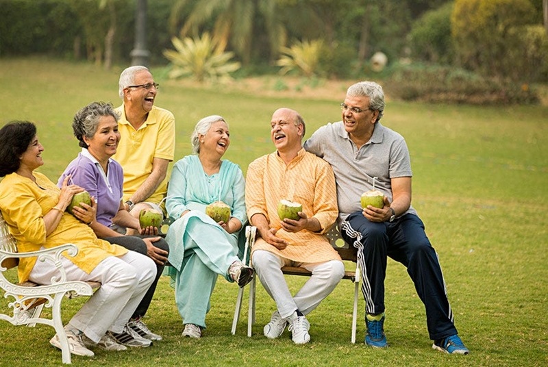 Senior Citizen Sit Out Area Emerald Real Estate Pune